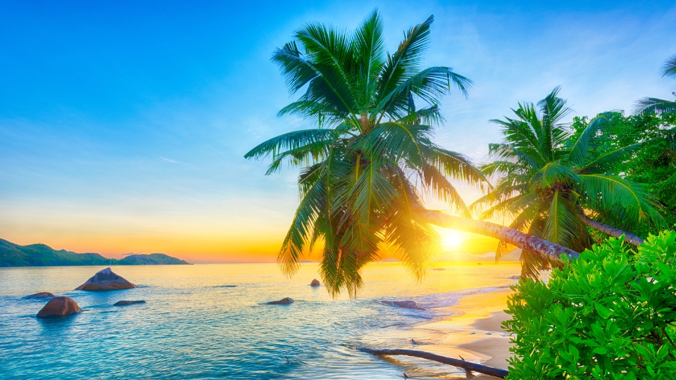 Évasion vers les plus belles plages paradisiaques : Destinations à couper le souffle